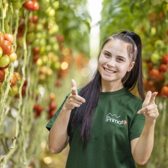 Seizoensarbeider bij Primato